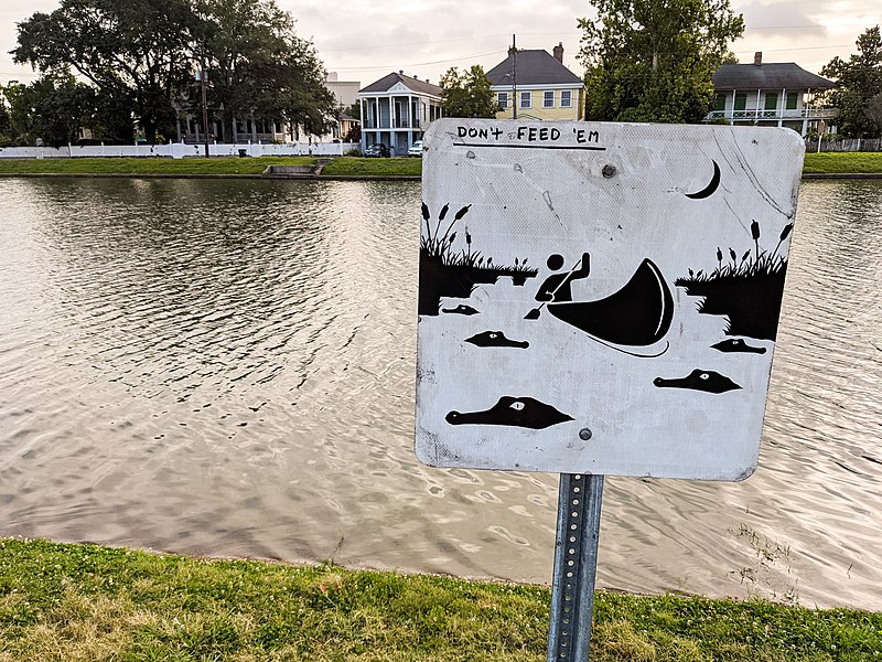 File:Don't Feed 'Em - Bayou St. John New Orleans.jpg