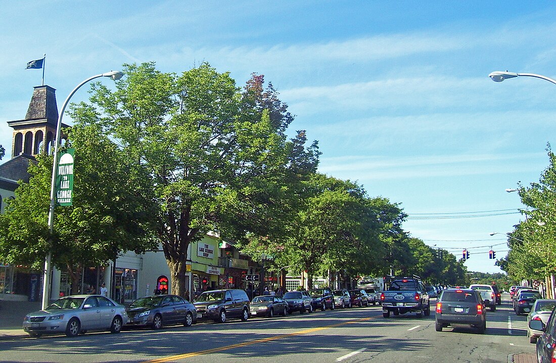 Lake George (Town, New York)