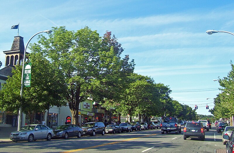 File:Downtown Lake George, NY.jpg