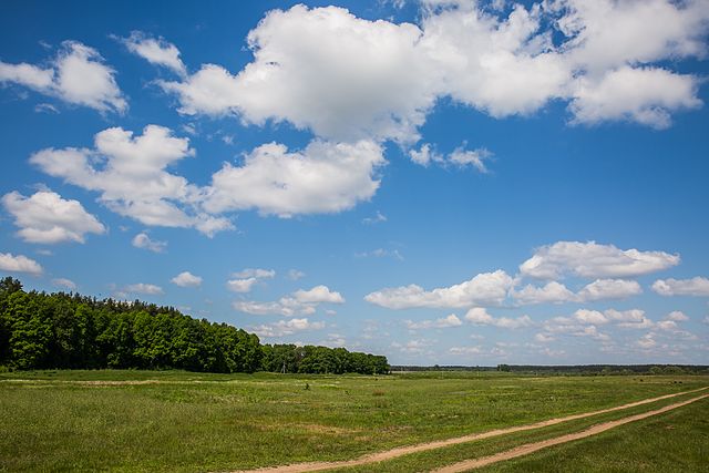 Dudenevsky Natural Area, Kalininsky District