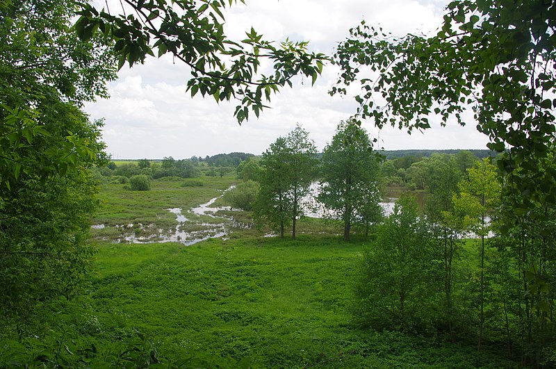 File:Dzerzhinsky District, Kaluga Oblast, Russia - panoramio (61).jpg