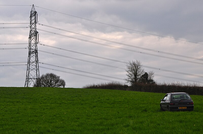 File:East Devon , Grassy Field - geograph.org.uk - 4415203.jpg