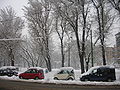 Entrance to Parco Solari (Milan) with trees covered with snow