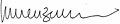 Enzensberger Signature.jpg