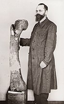 Ernst Stromer next to a femur of Bahariasaurus Ernst Stromer.jpg