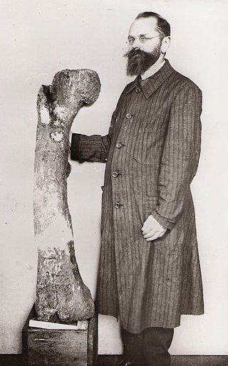 <span class="mw-page-title-main">Ernst Stromer</span> German paleontologist