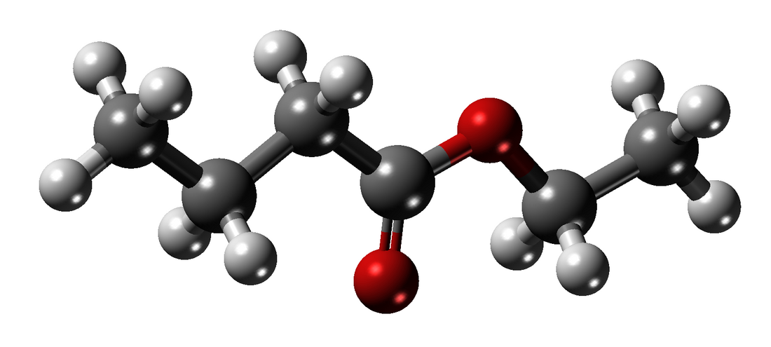 Ethyl butyrat