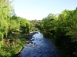 Etobicoke Creek