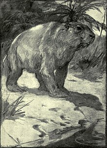 Early reconstruction of Diprotodon by Alice B. Woodward, 1912 Evolution in the past (Plate 55) BHL21155651.jpg
