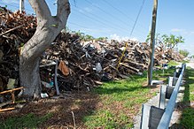 Debris piled along the Overseas Highway on Upper Matecumbe Key FEMA - DSC9143 - Collected debris piles in the community of Upper Matecumbe Key in Monroe County.jpg