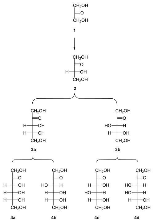 Types Of Carbohydrates Chart