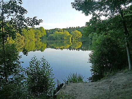 Fechenheimer Weiher 2012 Ffm 926