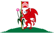 Cardiff zászlaja