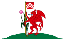 Vlag van Cardiff