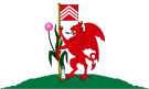 Flag of Cardiff.svg
