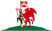 Cardiff.svg жалауы