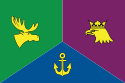 Distretto amministrativo orientale – Bandiera