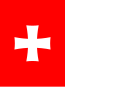 Flagge von Roustavi