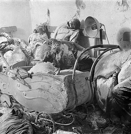 Civilian casualties in Dresden after Allied bombing on the night of 13 February 1945