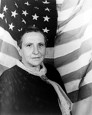 Photographic portrait of writer Gertrude Stein by Carl Van Vechten. Stein is facing the camera. She is wearing a black patterned dress and a white mesh scarf with an ornate brooch as a clasp. A large American flag is draped behind her.