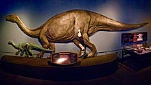 List of sauropodomorph type specimens - Wikipedia