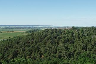 Utsikt fra Gläserner Mönch i Barfjellene forbi Halberstadt til Huy i bakgrunnen