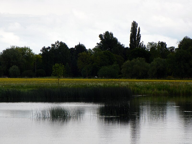 File:Godmanchester to St Ives 246 River Great Ouse and Godmanchester Eastside Common (22428994669).jpg