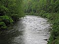 Greenbrier River (downstream from Durbin, West Virginia, USA) 1 (27503522300).jpg