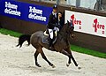 Steve Guerdat et Nino des Buissonnets, lors du Grand Prix Coupe du Monde du CHI-5* de Genève (décembre 2012).