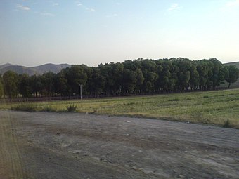 Forest next to Gori Lake, close to Tabriz on the side of Freeway 2W.