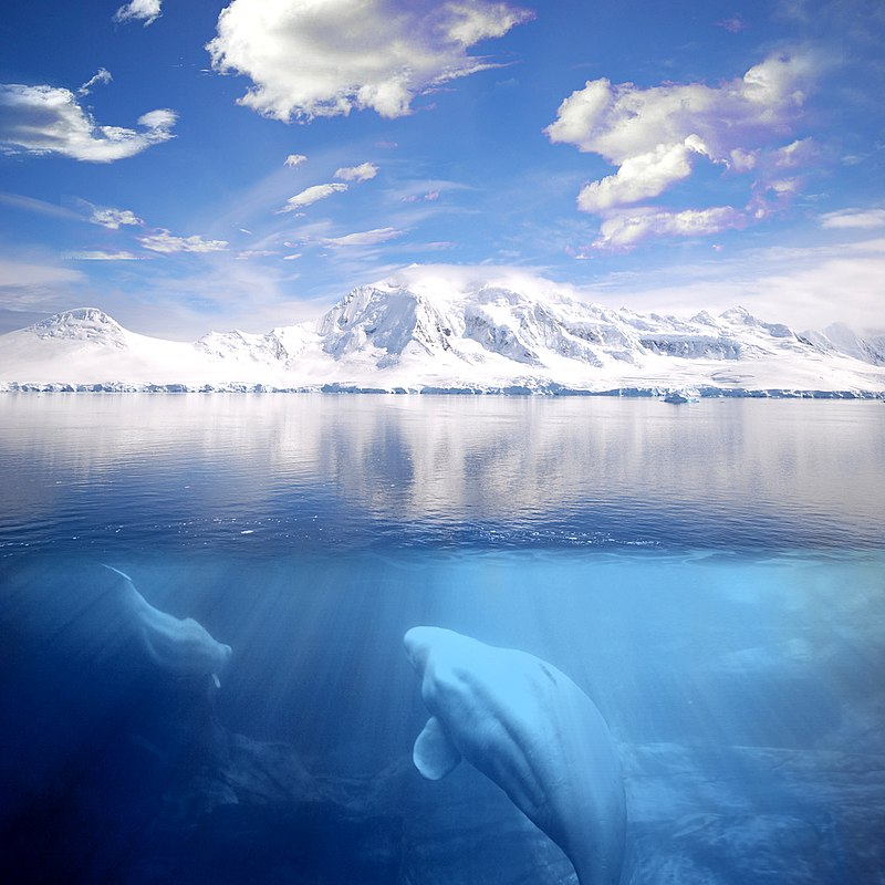 Representação da água em seus três estados físicos na natureza. O oceano líquido, o gelo sobre as montanhas e o vapor invisível no céu.