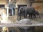 Elefantenhaus im Tierpark Hagenbeck in Hamburg