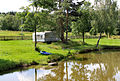 Čeština: Soukromý rybník v Starém Bozděchově, části Horní Radouně English: Private pond in Starý Bozděchov, part of Horní Radouň, Czech Republic.