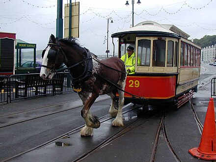 Horse-drawn tram at Derby Castle terminus