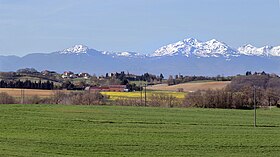 Saint-Gaudéric