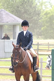 A horse and rider with hunt seat tack and attire Hunt seat.jpg