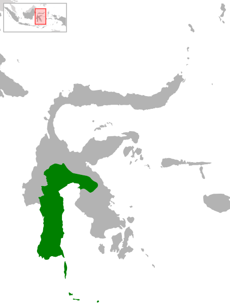 File:Indonesia South Sulawesi location.svg