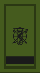 File:Ireland-Army-OR-8 camo.svg