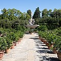 * Nomination Fountain of Oceanus by Giambologna, Isolotto, Boboli Gardens, Florence, Italy --Poco a poco 08:14, 1 March 2023 (UTC) * Promotion  Support Good quality. --Ermell 08:40, 1 March 2023 (UTC)