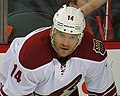 Jeff Halpern Coyotes.jpg