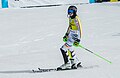 * Nomination Jessica Hilzinger (GER), Women's Slalom, 1st run, Grandvalira 2023. --Tournasol7 04:08, 2 May 2023 (UTC) * Promotion  Support Good quality.--Agnes Monkelbaan 04:27, 2 May 2023 (UTC)