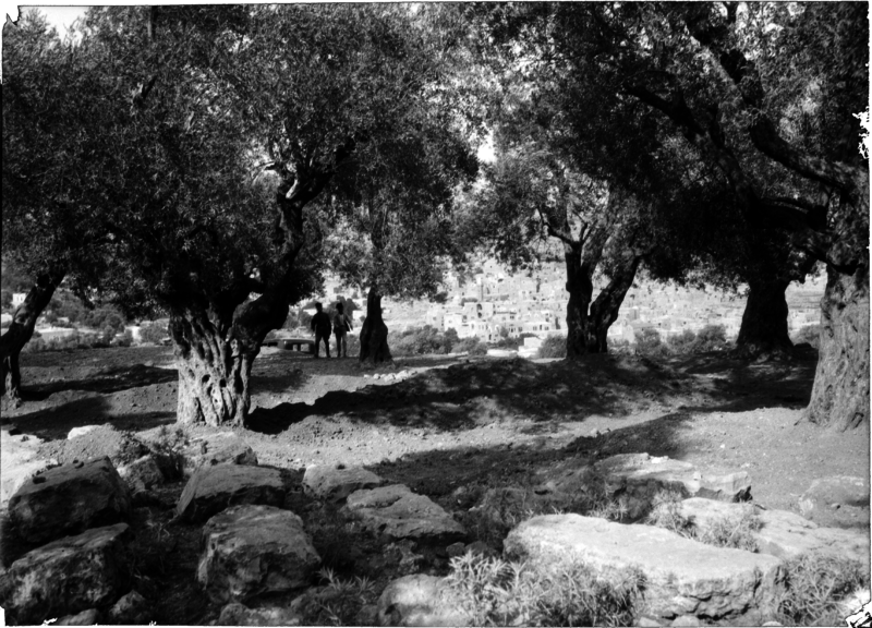 File:Jewish graves in Hebron cropped.png