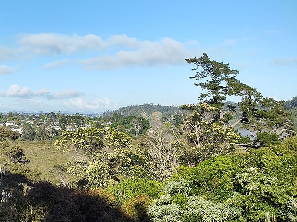 Archaeological middens have been found on the shores of the Kaipātiki Creek