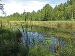 Karptjärnen, Södermanland Illustrationsbehov