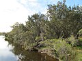 Avon River at Katrine, Western Australia