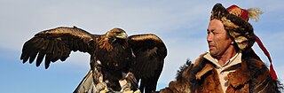 <span class="mw-page-title-main">Golden Eagle Festival</span> Traditional Mongolian festival