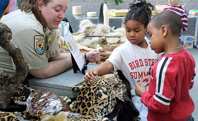 File:Kids Petting Cat Hide (5655242088).jpg