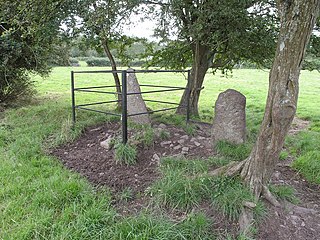 Kiltera Ogham Stones