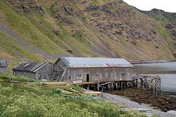 A long wooden building sits on stilts driven into the shore. It, and the nearby buildings are abandoned, grey, and falling apart. A green mountain rises up in the background, flowers and grass in the foreground.