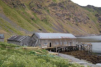 Bevarad fiskberedningsfabrik, Kjelvik brygge, 2014.